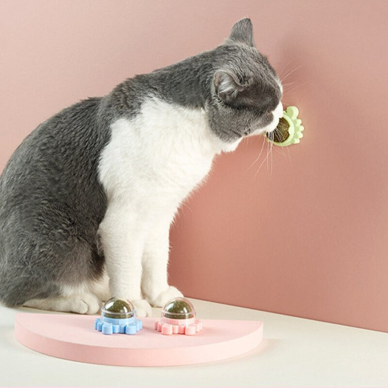 Gato jugando con bola de menta giratoria adhesiva en color azul o verde